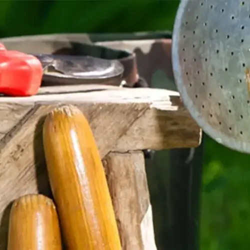 Kertészeti kiegészítők